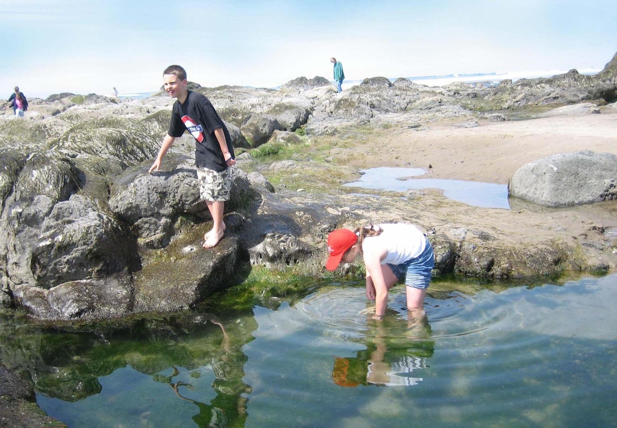 Ocean Rose Villa Lincoln City Bagian luar foto